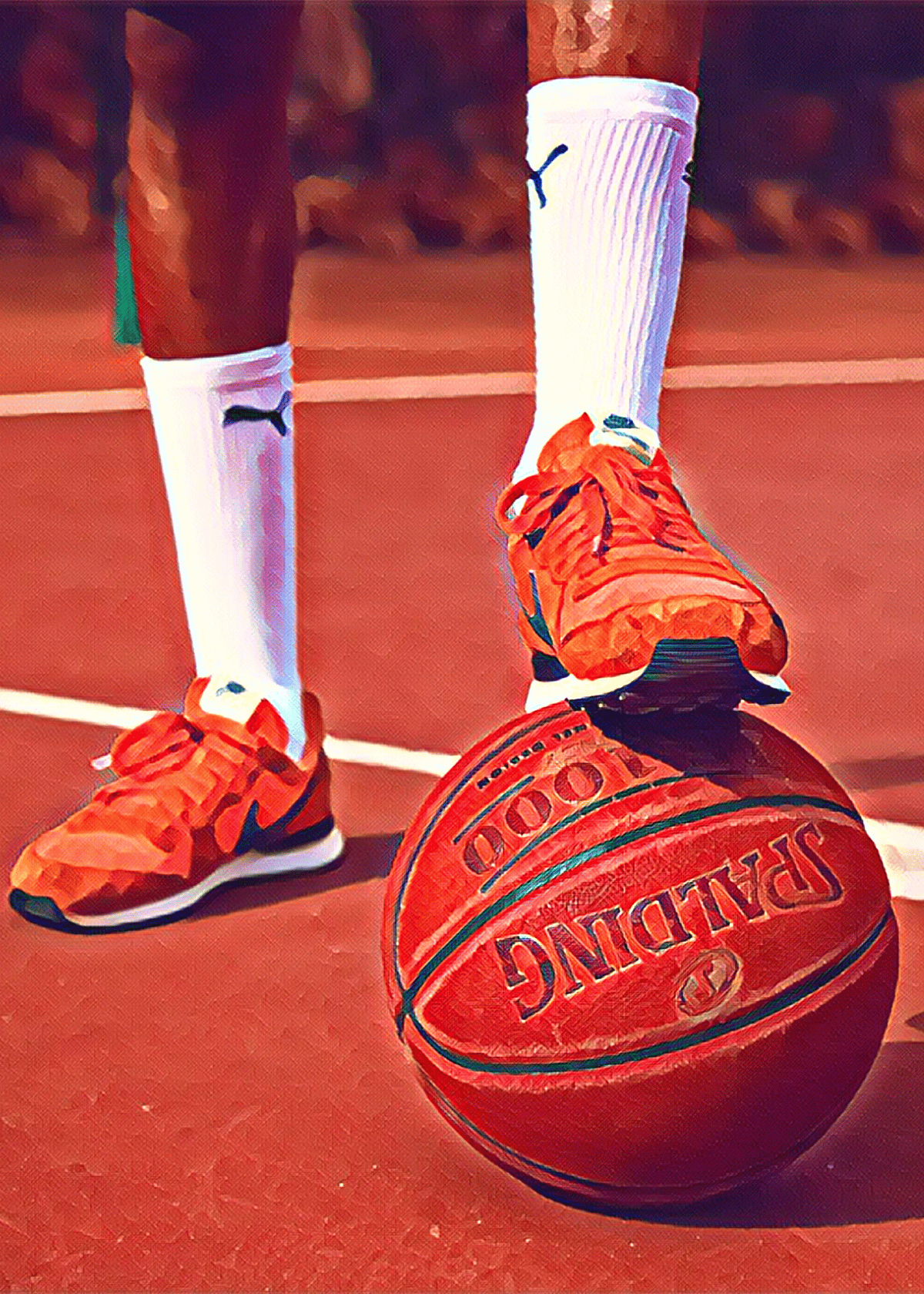 A Perfect Fit - The BEST Low Top Basketball Shoes